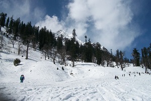 Manali - Jibhi